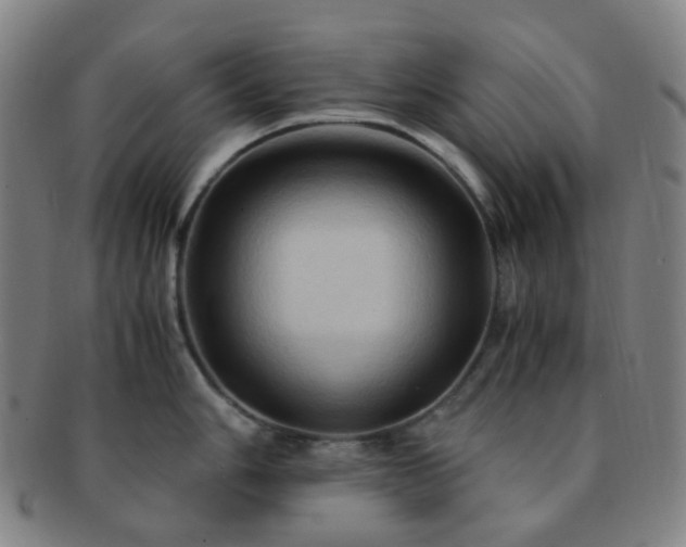 X0000091501006200708231440