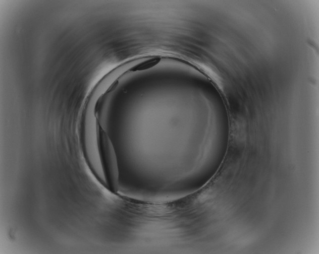 X0000091501007200708231440
