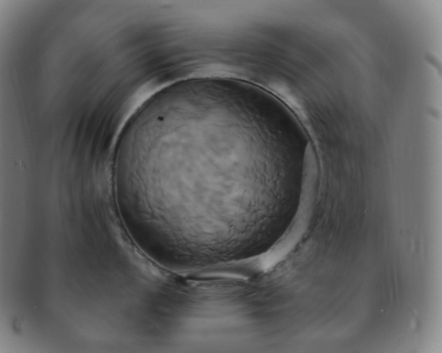 X0000091501008200708231440