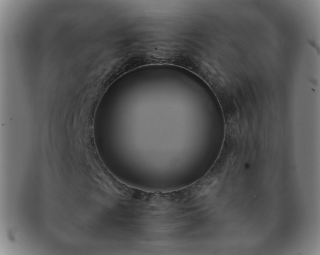 X0000091501009200708231439