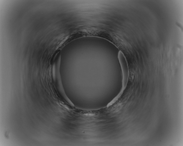 X0000091501010200708231439