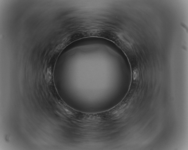 X0000091501011200708231439