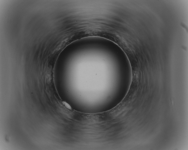 X0000091501012200708231440