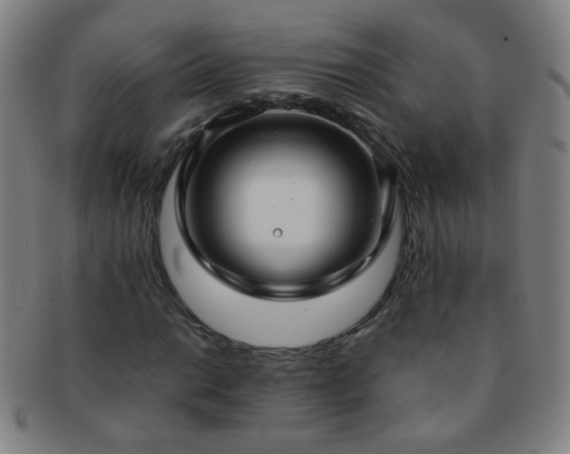 X0000091501014200708231440