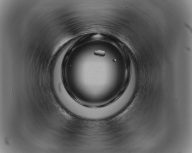 X0000091501018200708231440