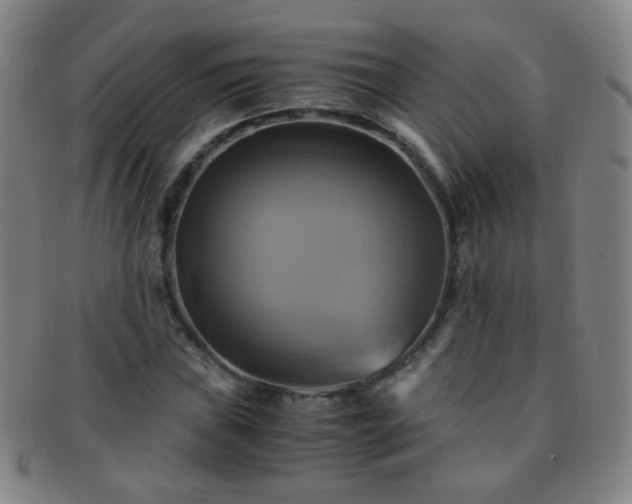 X0000091501019200708231440