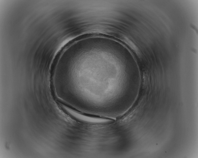 X0000091501020200708231440