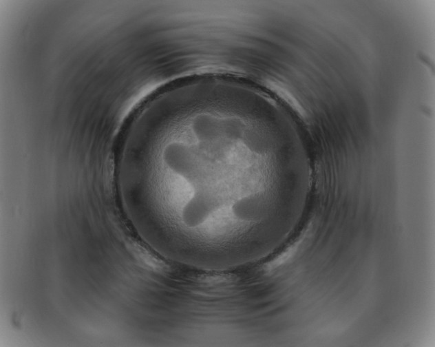 X0000091501021200708231440