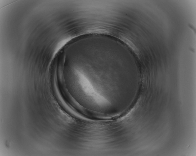 X0000091501022200708231440