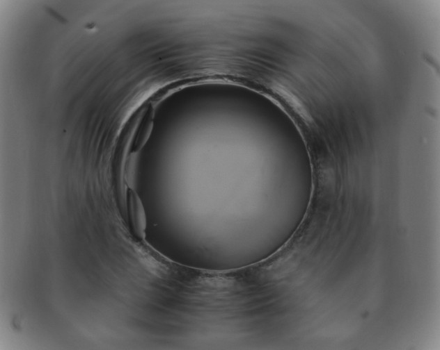 X0000091501023200708231440