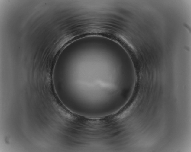 X0000091501025200708231440