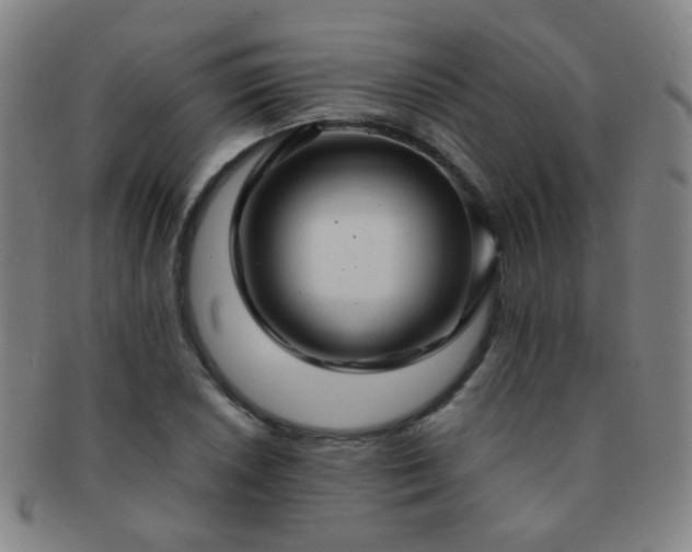 X0000091501026200708231440