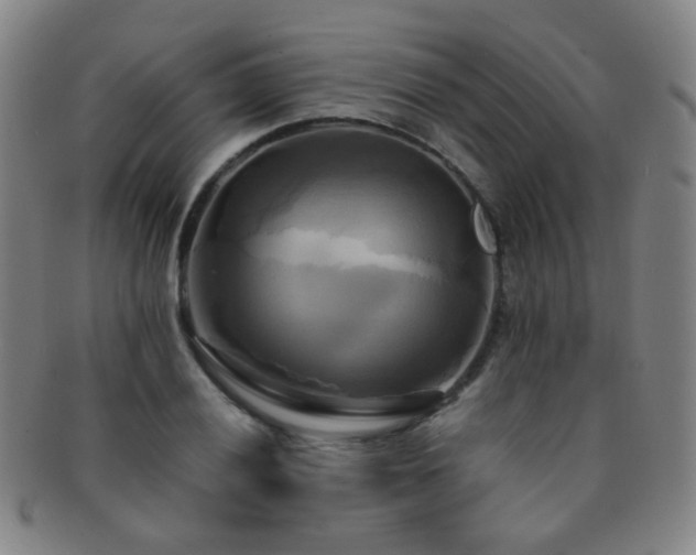 X0000091501028200708231440