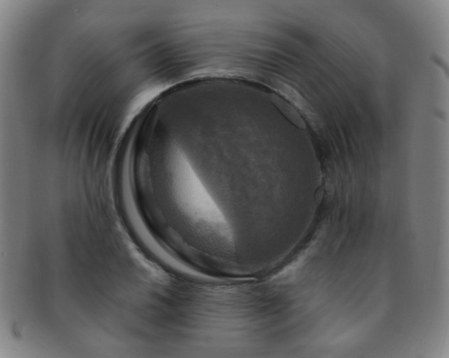 X0000091501030200708231440