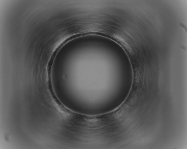 X0000091501031200708231440