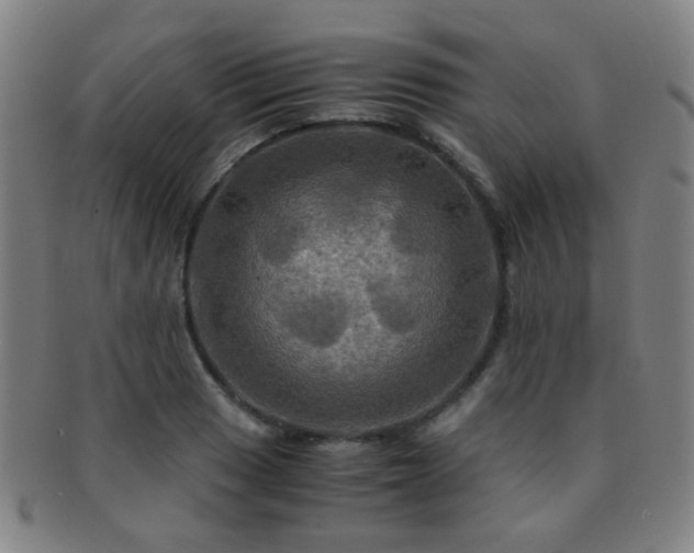 X0000091501033200708231440
