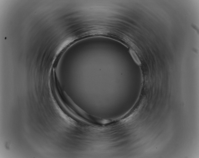 X0000091501034200708231440
