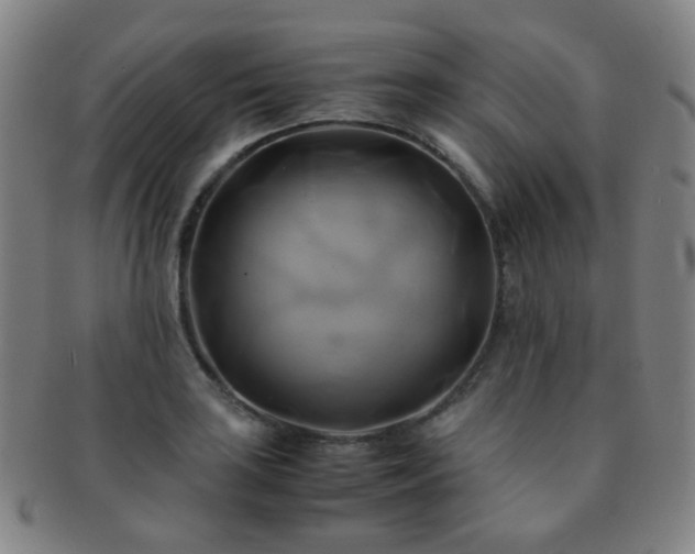 X0000091501035200708231440