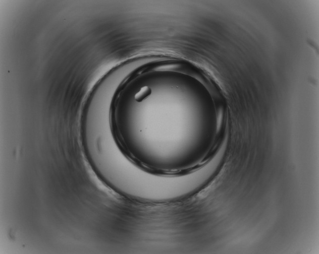 X0000091501038200708231440