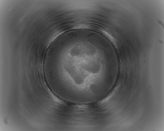 X0000091501041200708231440