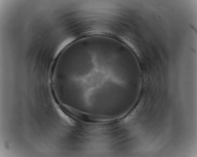 X0000091501042200708231440