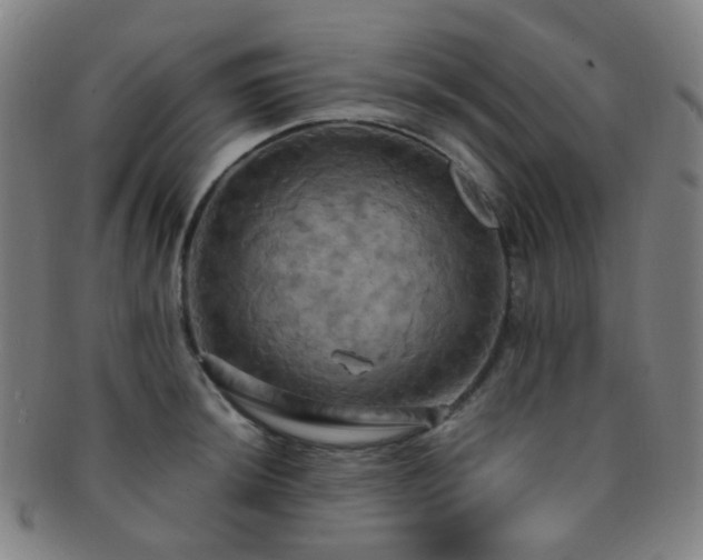 X0000091501044200708231440