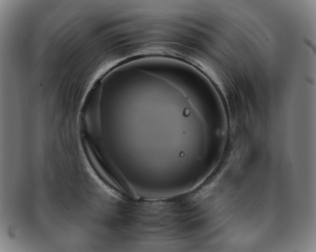 X0000091501045200708231440