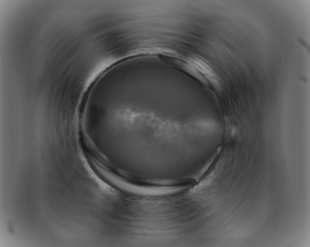 X0000091501046200708231440