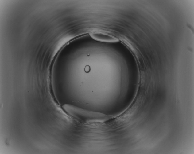 X0000091501048200708231440