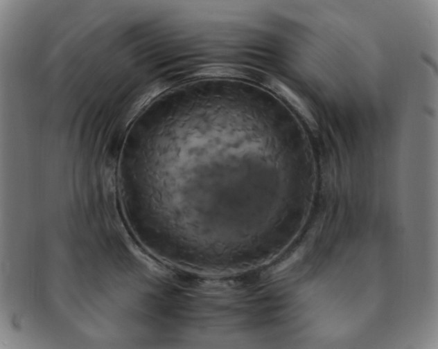 X0000091501049200708231440