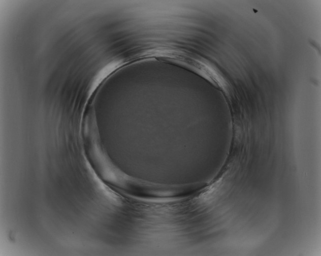 X0000091501050200708231440