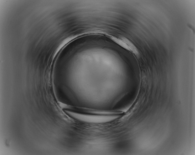 X0000091501052200708231440