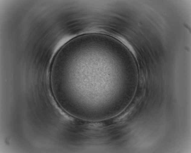 X0000091501053200708231440