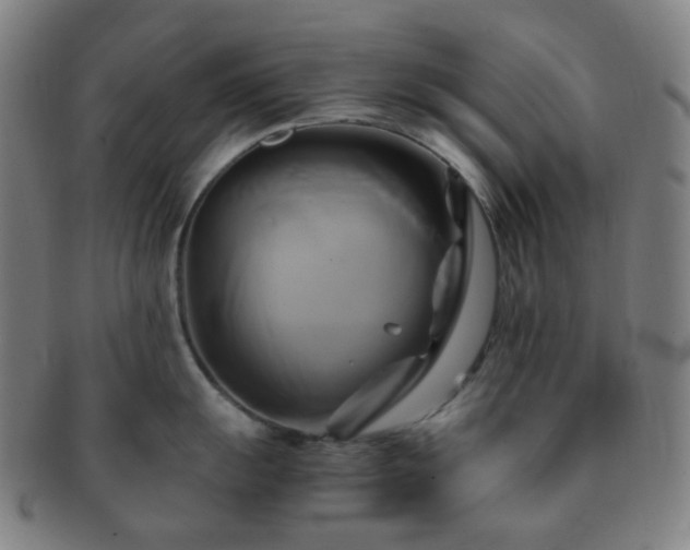 X0000091501055200708231440