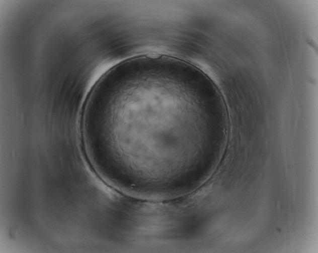 X0000091501056200708231440