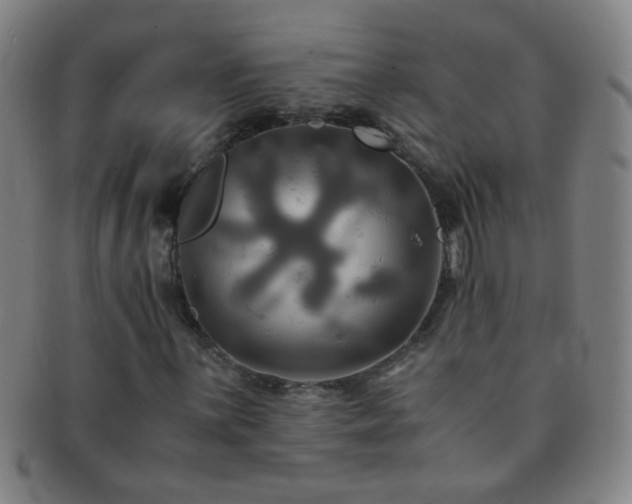 X0000091501059200708231439