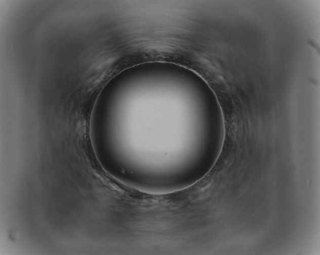 X0000091501061200708231439