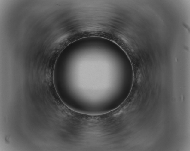 X0000091501062200708231439