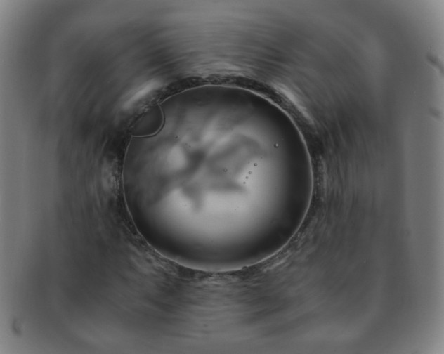 X0000091501063200708231439