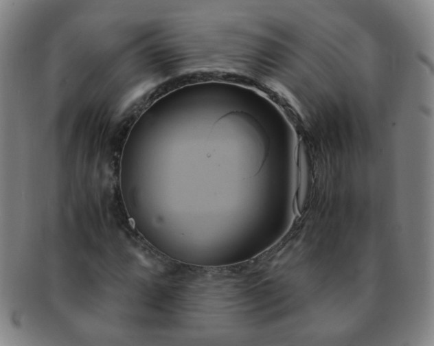 X0000091501064200708231439
