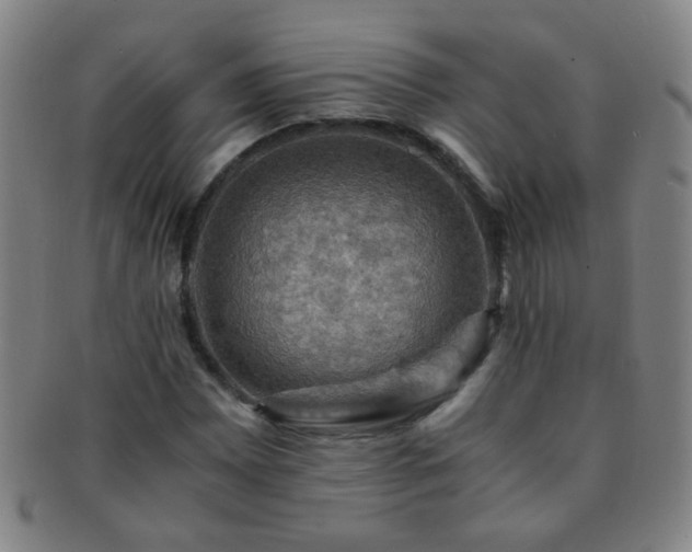 X0000091501065200708231439