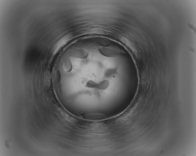X0000091501067200708231439