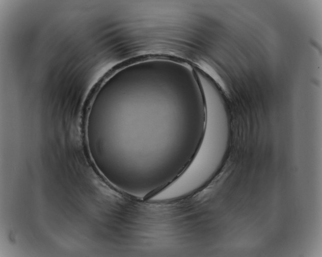 X0000091501068200708231439