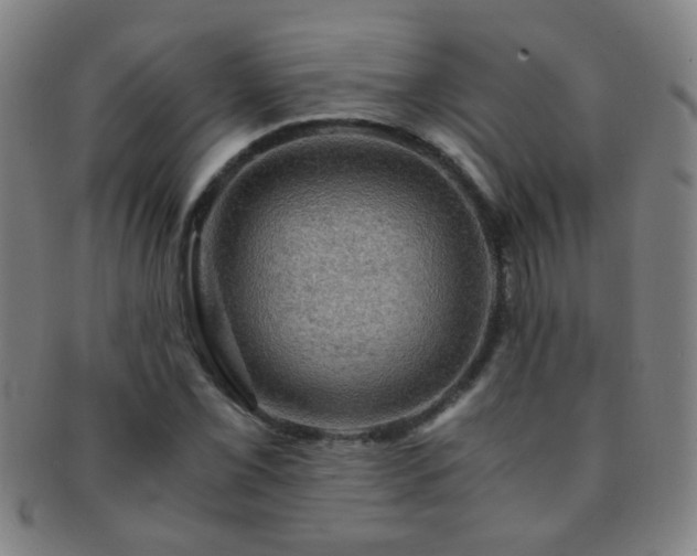 X0000091501069200708231439