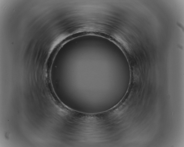 X0000091501070200708231439