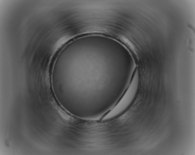X0000091501072200708231439