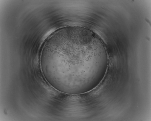 X0000091501074200708231439