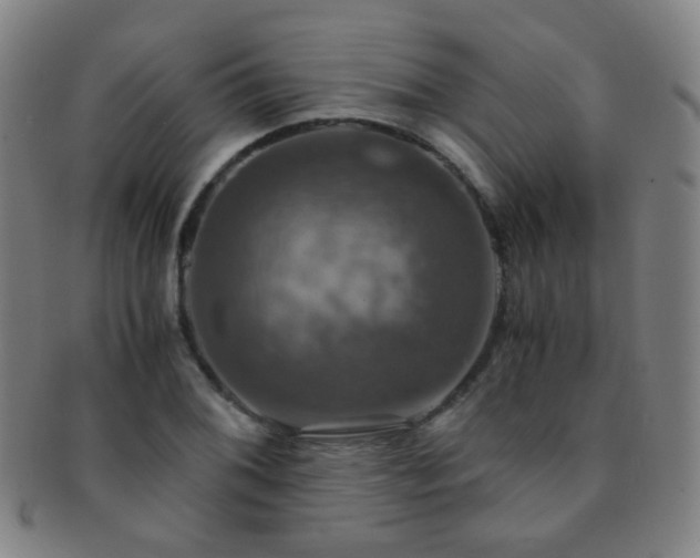 X0000091501076200708231439
