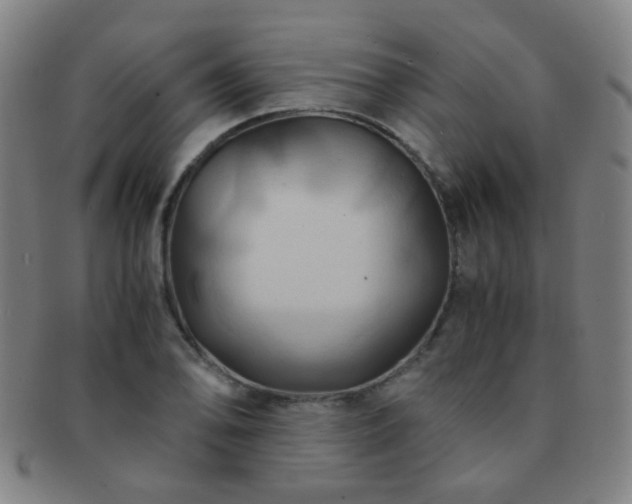 X0000091501078200708231439