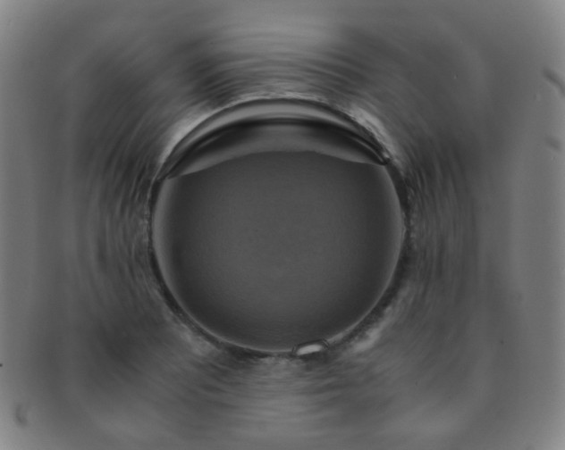 X0000091501081200708231439